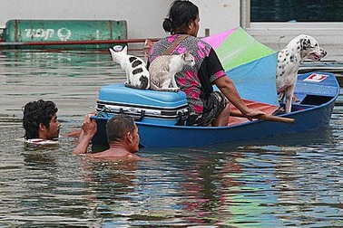 Người dân Bangkok “tích lương chờ lũ”, LHQ lo ngại về những nguy cơ