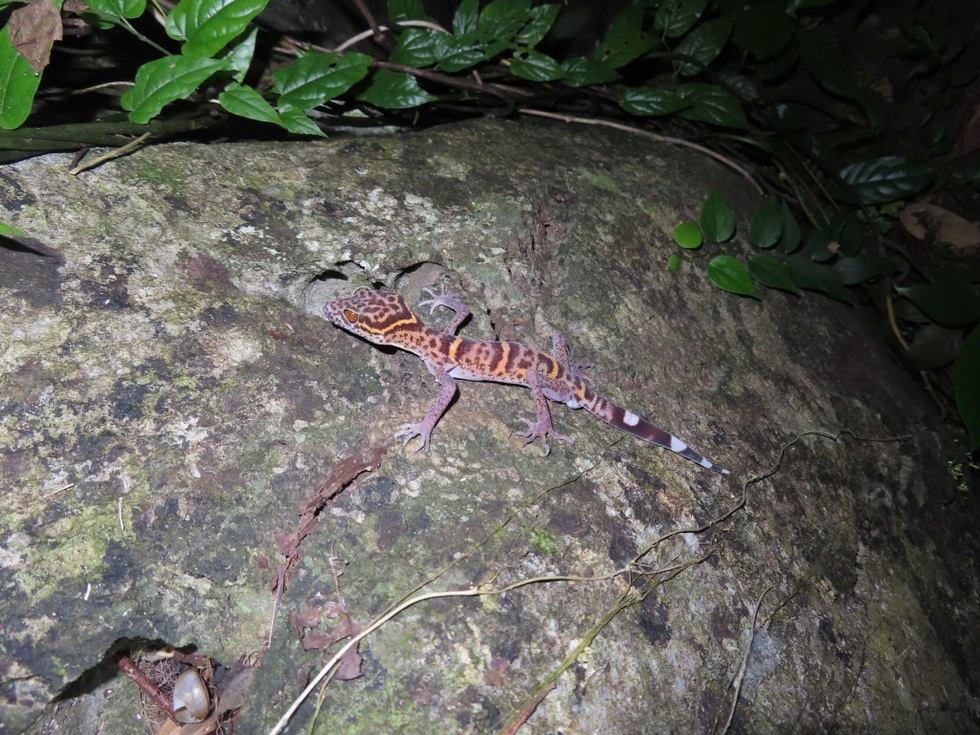 Thành tựu xuất sắc của các anh tài trong khối trí thức trẻ diễu hành A80 - 9