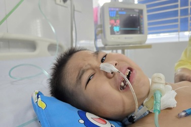 Bé trai 8 tuổi nguy kịch vì viêm não, cha nghèo khẩn cầu cứu con