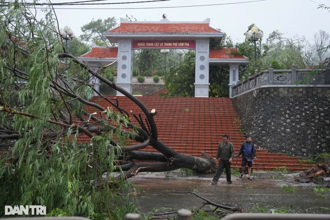 Bão Yagi đổ bộ Quảng Ninh: Đường phố ngổn ngang, hàng loạt cột điện gẫy đổ - 11