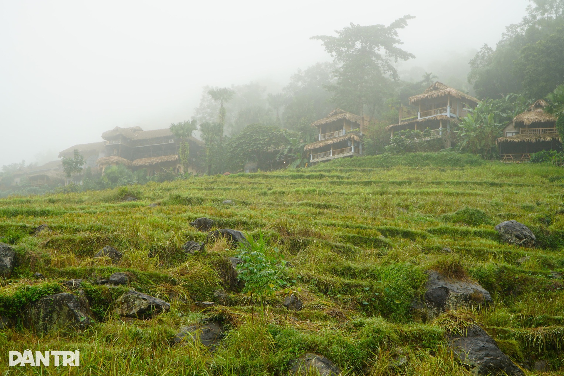 Ngắm bản làng Pù Luông trong làn sương mù mờ ảo - 7 Ngắm bản làng Pù Luông trong làn sương mù mờ ảo - 7
