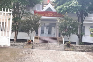 Bị kỷ luật cách chức, nữ kế toán vẫn được tái bổ nhiệm