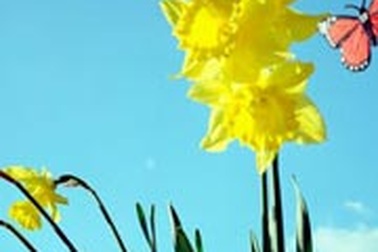 Thận trọng với bệnh viêm kết mạc mùa xuân