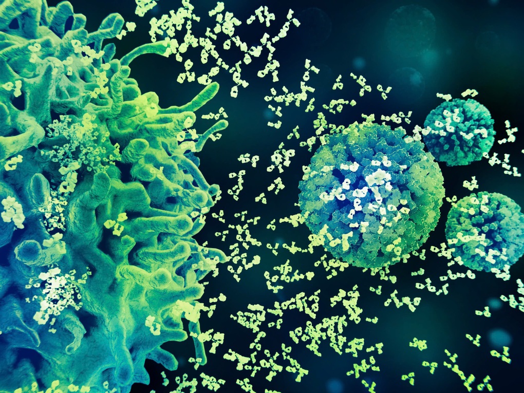 Bộ ba bảo vệ khỏi HPV: Tiêm chủng, tầm soát định kỳ, theo dõi kịp thời - 1 Bộ ba bảo vệ khỏi HPV: Tiêm chủng, tầm soát định kỳ, theo dõi kịp thời - 1