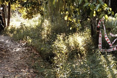 Thực nghiệm hiện trường vụ nghi phạm đang học lớp 12 giết, hiếp bé gái 10 tuổi