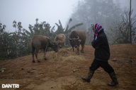 Trung Bộ tiếp tục mưa lớn, rét đậm bao trùm miền Bắc