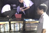 Bắt xe tải chở hơn 400 ký tôm có chứa tạp chất