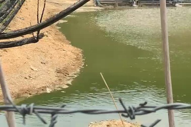 Khu du lịch sinh thái gây ô nhiễm.