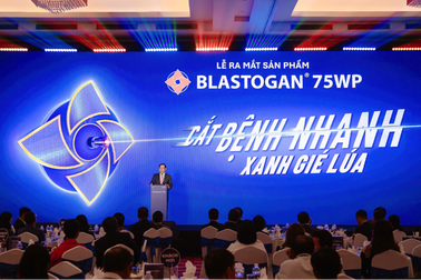 Giải pháp tăng cường phòng ngừa bệnh đạo ôn trên cây lúa