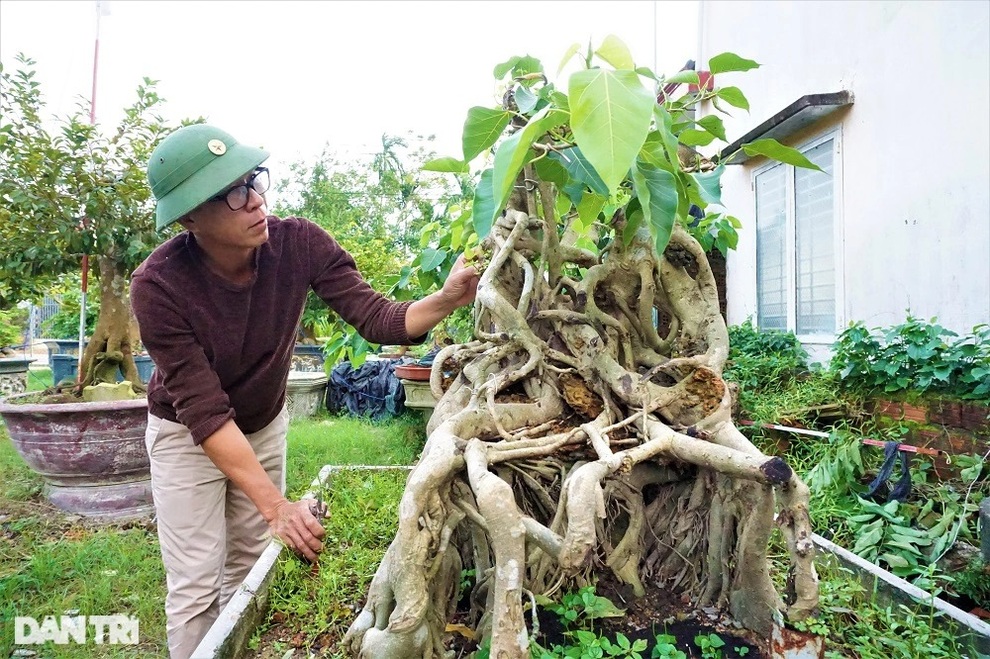 Người thổi hồn vào những gốc duối, ổi, me, bồ đề - 11 Người thổi hồn vào những gốc duối, ổi, me, bồ đề - 11