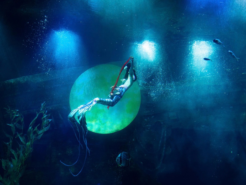 Lotte World Aquarium ហាណូយ ស្វាគមន៍ភ្ញៀវទេសចរណ៍ទី ១ លាននាក់ - ៤ Thủy cung Lotte World Hà Nội đón vị khách thứ 1 triệu - 4