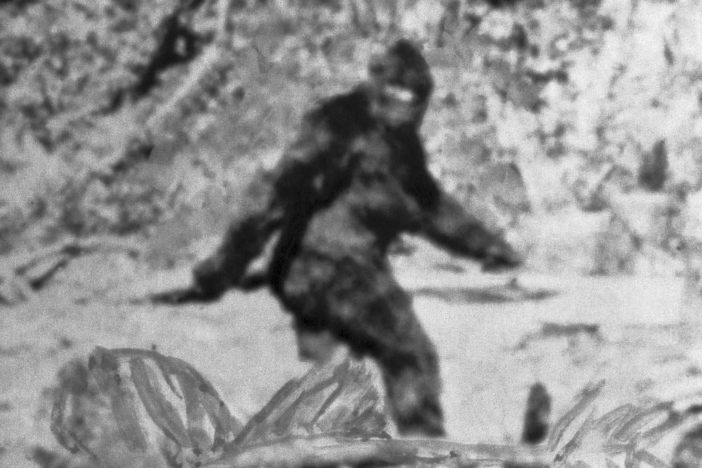 AI vén màn bí mật về quái vật Bigfoot - 1