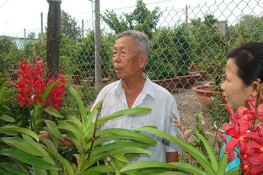 Làm giàu trên vùng đất phèn