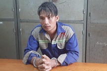 Giả danh nhân viên điện lực bẻ trộm dây đồng trạm biến áp điện