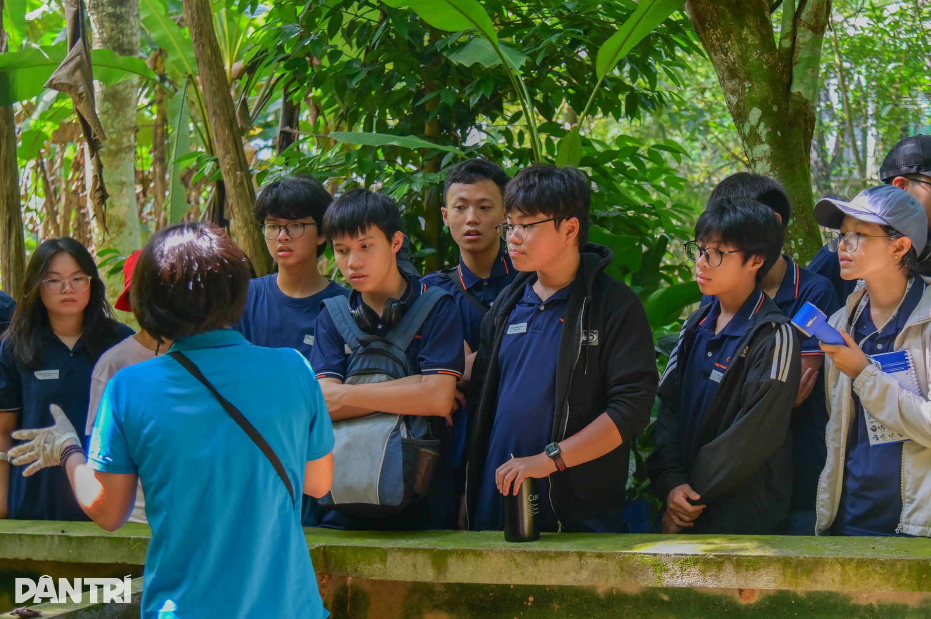 Cận cảnh loài thằn lằn cá sấu ở Việt Nam, có mặt từ thời khủng long - 13 Cận cảnh loài thằn lằn cá sấu ở Việt Nam, có mặt từ thời khủng long - 13