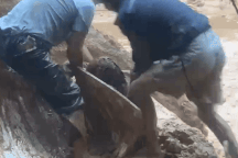 Sạt lở cuốn trôi xe múc, vùi cả công nhân dưới bùn đất