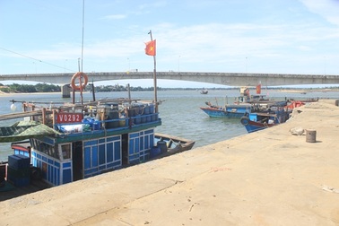 Cảng cá ảm đạm sau thông tin cá nhiễm chất cực độc