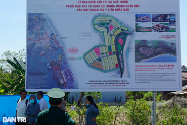 Tạm dừng thẩm định chuyển mục đích sử dụng rừng để thực hiện dự án thép