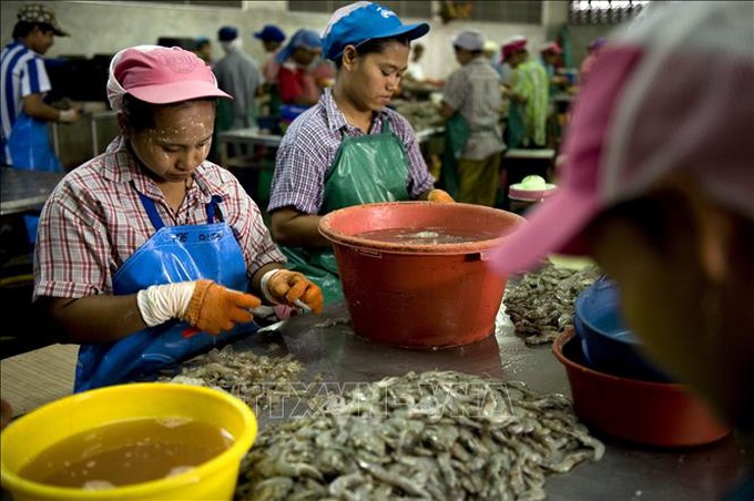 Thái Lan khắc phục tình trạng thiếu hụt lao động vì COVID-19 - Ảnh 1. Thái Lan khắc phục tình trạng thiếu hụt lao động vì COVID-19 - Ảnh 1.