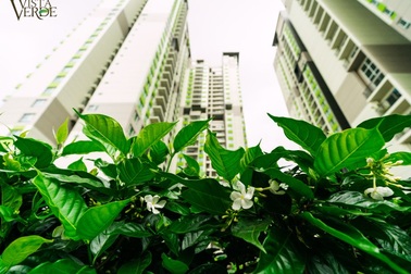 “Cơn khát” đô thị xanh – “Điểm nóng” cạnh tranh