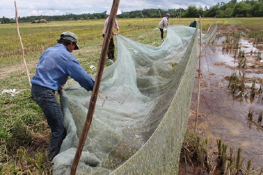 “Kéo lưới” trên cạn