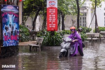 Miền Bắc sắp mưa lớn dài ngày, có nơi trên 250mm