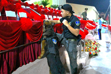 Những "chiến sĩ" đặc biệt bảo vệ lễ kỷ niệm chiến thắng Điện Biên Phủ