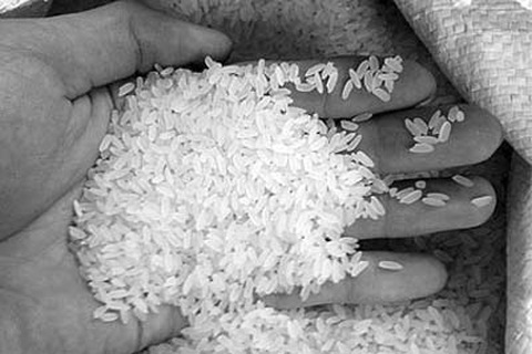 Cẩn thận với gạo thơm ướp hương liệu 