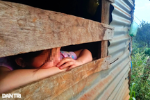 Nỗi đau của nạn nhân bị bạo lực, xâm hại có thể kéo dài dai dẳng cả đời