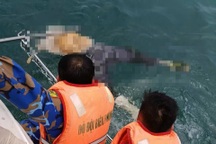 Phát hiện thi thể nghi thuyền viên mất tích từ 20 ngày trước