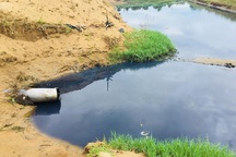 Vựa tôm đầu độc môi trường suốt 6 năm: Phạt 2 triệu đồng (!?)