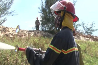 Hàng trăm người căng mình chống cháy rừng phòng hộ ven biển