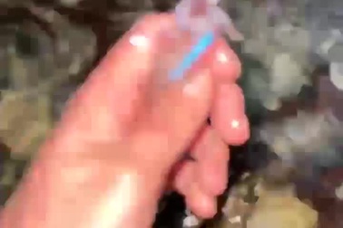 Vợ chồng lao động Việt tại Nhật vớt mực trên biển trong đêm