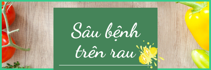 Nhận biết rau củ quả có sử dụng hóa chất - Ảnh 2.