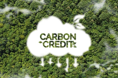 Thị trường carbon thế giới: Khi khí thải thành hàng hóa tỷ USD