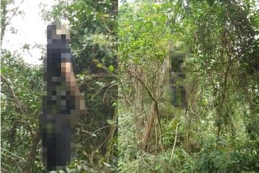 Thi thể nam thanh niên treo cổ trên núi Quyết, bên cạnh có lá thư tuyệt mệnh