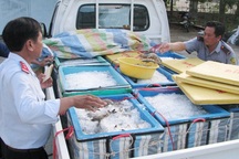 Nạn bơm chích tạp chất vào tôm: Chính quyền tỉnh Bạc Liêu quyết liệt vào cuộc