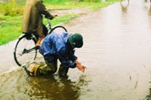 Mưa lớn ở TP Vinh, dân đổ ra đường bắt cá