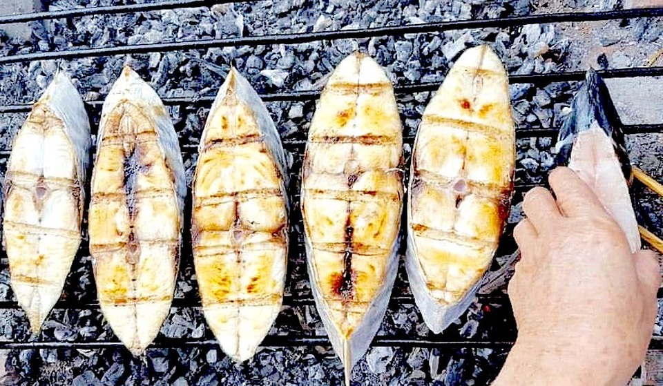 Hái lộc biển nơi cửa lạch - 11 Hái lộc biển nơi cửa lạch - 11