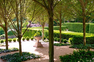 Chế tạo thành công cỗ máy sản xuất Oxy từ môi trường chân không