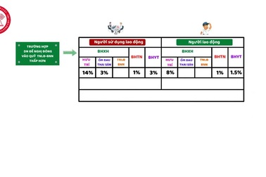 Mức đóng BHXH bắt buộc, BHTN, BHYT năm 2021