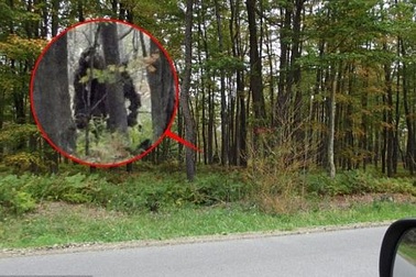 Phát hiện 2 "quái vật Bigfoot" ở Mỹ