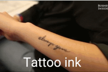 4 thứ không ngờ được chế tạo từ động vật