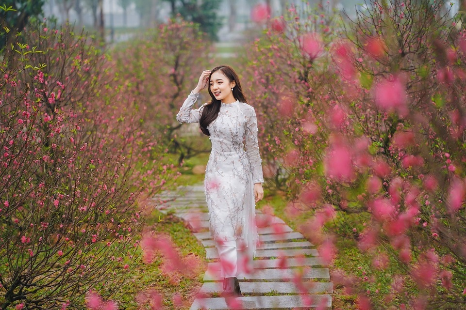 Choáng ngợp với 2 lễ hội hoa Xuân lập kỷ lục Việt Nam - 1 Choáng ngợp với 2 lễ hội hoa Xuân lập kỷ lục Việt Nam - 1