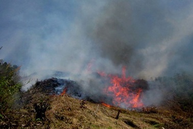 Phú Yên: Liên tục xảy ra cháy rừng 