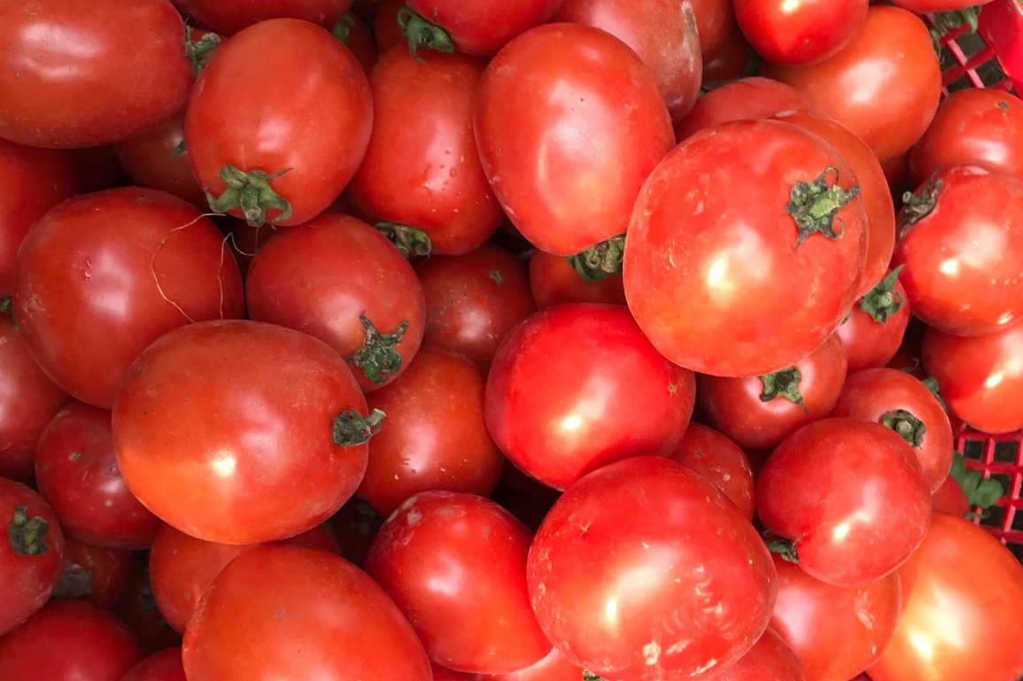 Giá cà chua tăng sốc, chạm mốc 50.000 đồng/kg - 1 Giá cà chua tăng sốc, chạm mốc 50.000 đồng/kg - 1