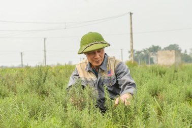 "Tôi đã phải trả giá gần 20 năm tù vì hám lợi từ ma túy"