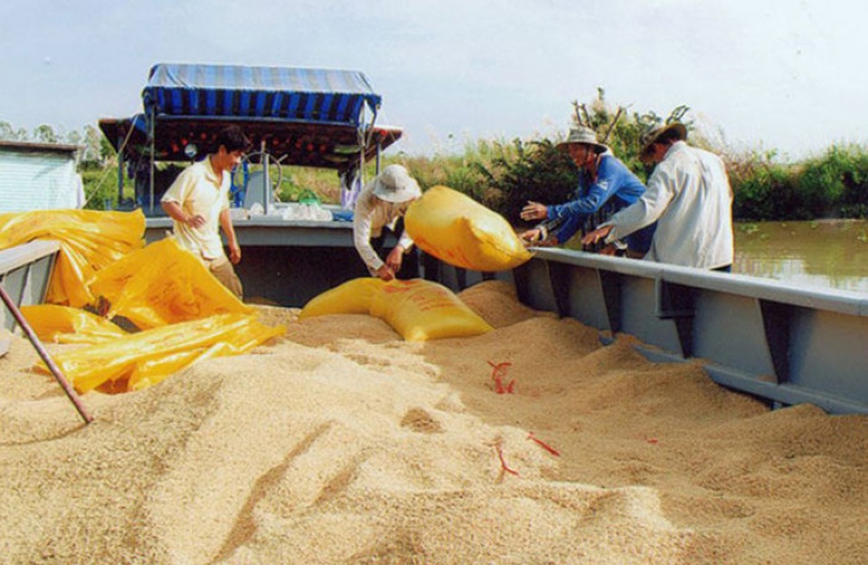 Đồng loạt báo tin được mùa, dư xuất khẩu 6 triệu tấn gạo - 2 Đồng loạt báo tin được mùa, dư xuất khẩu 6 triệu tấn gạo - 2
