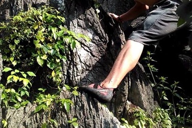 Kỹ năng sinh tồn nơi hoang dã