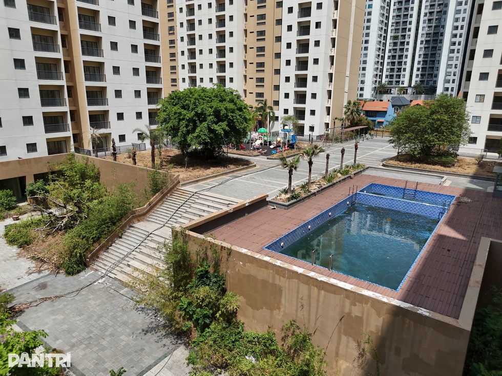 Hàng nghìn căn hộ sắp thoát cảnh bị bỏ hoang trên đất vàng ở TPHCM - 7 Hàng nghìn căn hộ sắp thoát cảnh bị bỏ hoang trên đất vàng ở TPHCM - 7